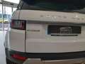 Land Rover Range Rover Evoque 2.0TD4 HSE 4WD 150 Wit - thumbnail 20