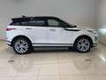 Land Rover Range Rover Evoque R-Dynamic SE Bianco - thumbnail 5