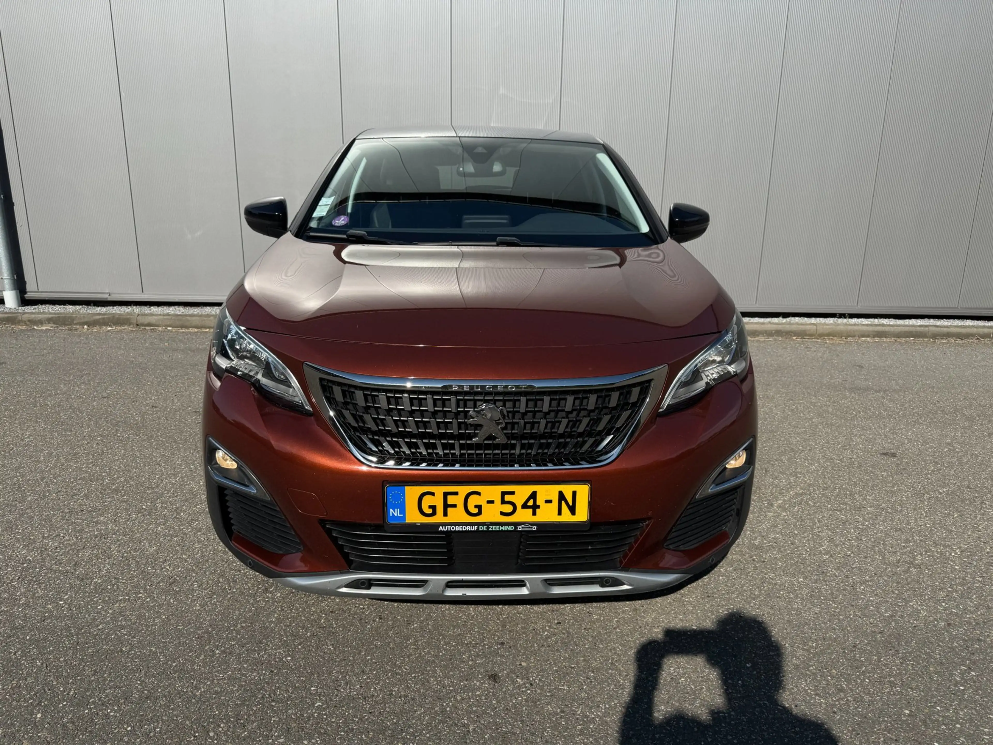 Peugeot 3008 1.2 PureTech Première — photo 2