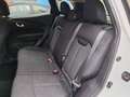 Renault Kadjar Kadjar 1.5 dci energy Business 110cv edc Bianco - thumbnail 12