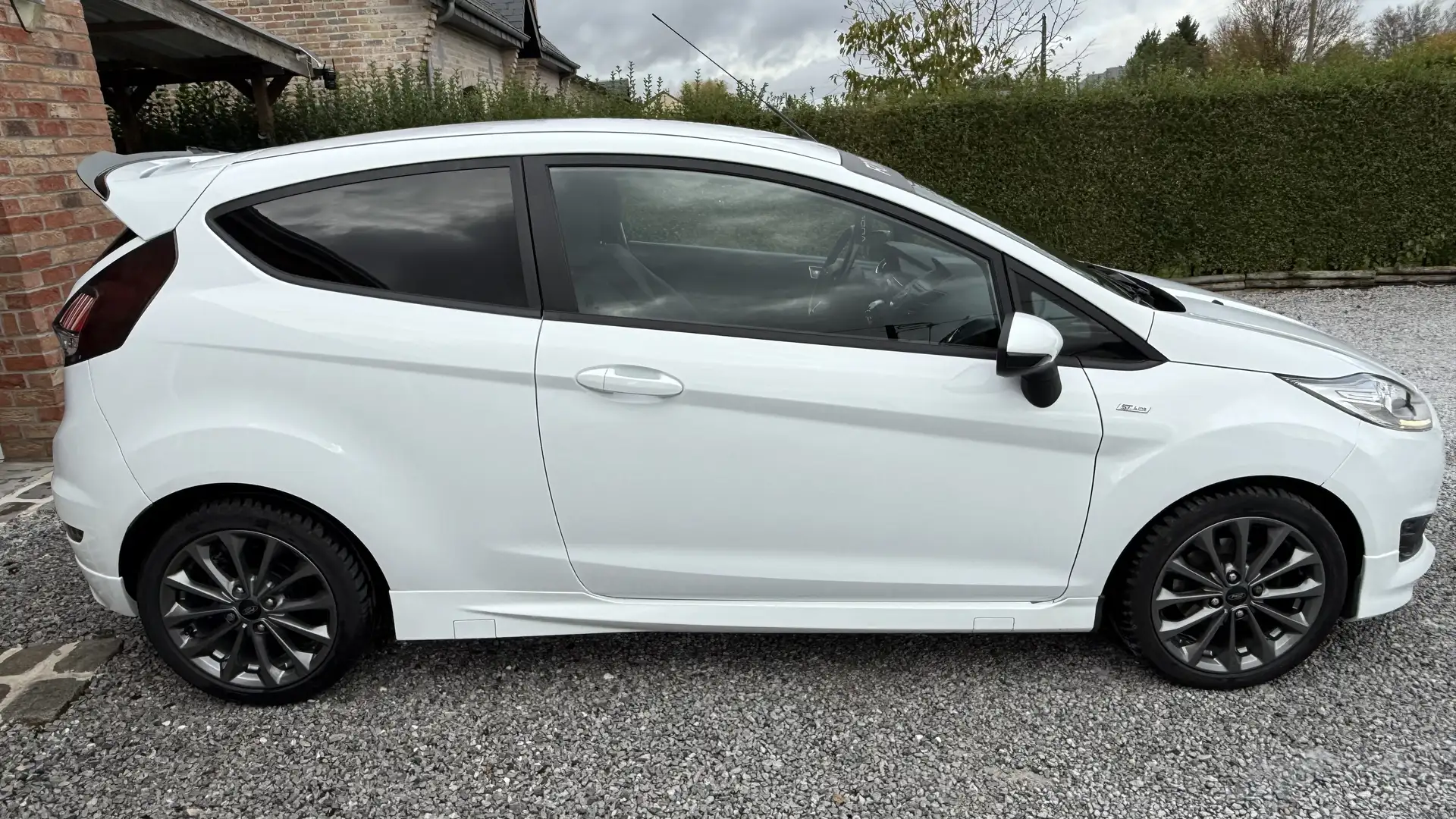 Ford Fiesta Fiesta 1.0 EcoBoost 100 S - 2
