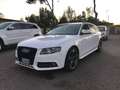 Audi A4 Avant Tdi AUTOMATICA *PREZZO TRATTABILE* Bianco - thumbnail 2