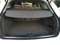 Audi A4 Avant Tdi AUTOMATICA *PREZZO TRATTABILE* Bianco - thumbnail 12