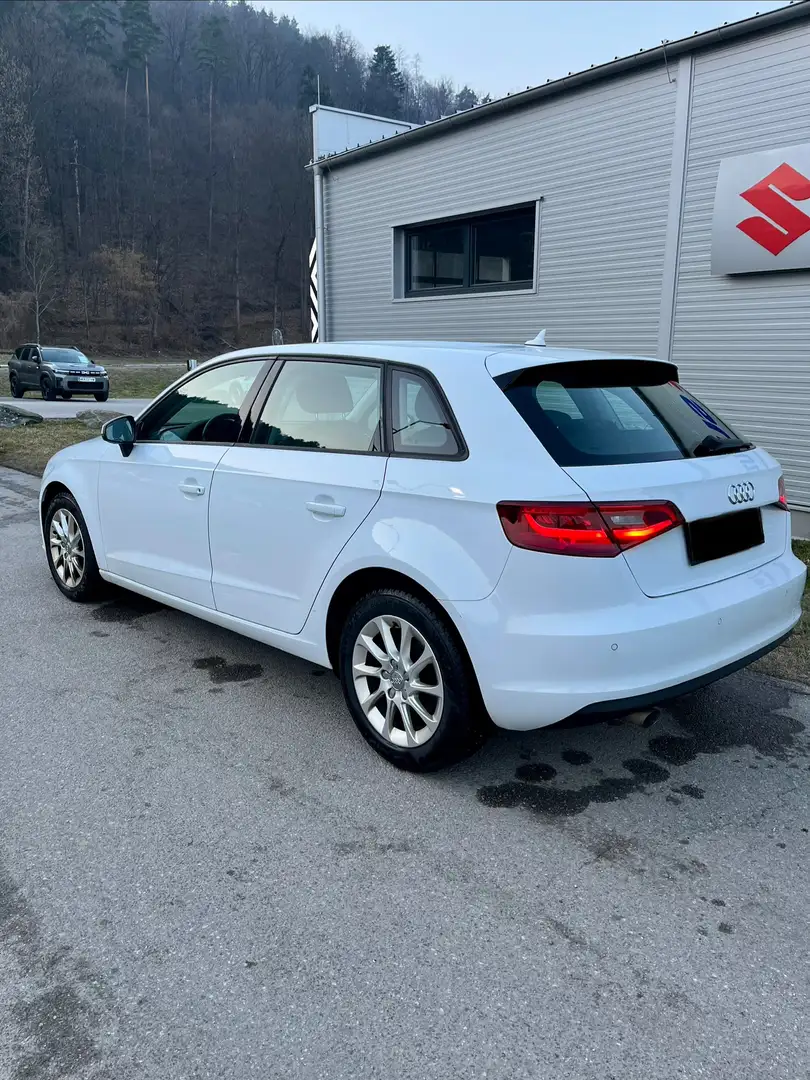 Audi A3 A3 Ambition 1,6 TDI Ambition Weiß - 2