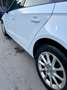 Audi A3 A3 Ambition 1,6 TDI Ambition Weiß - thumbnail 3