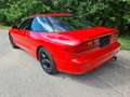 Ford Probe 24V Rot - thumbnail 5