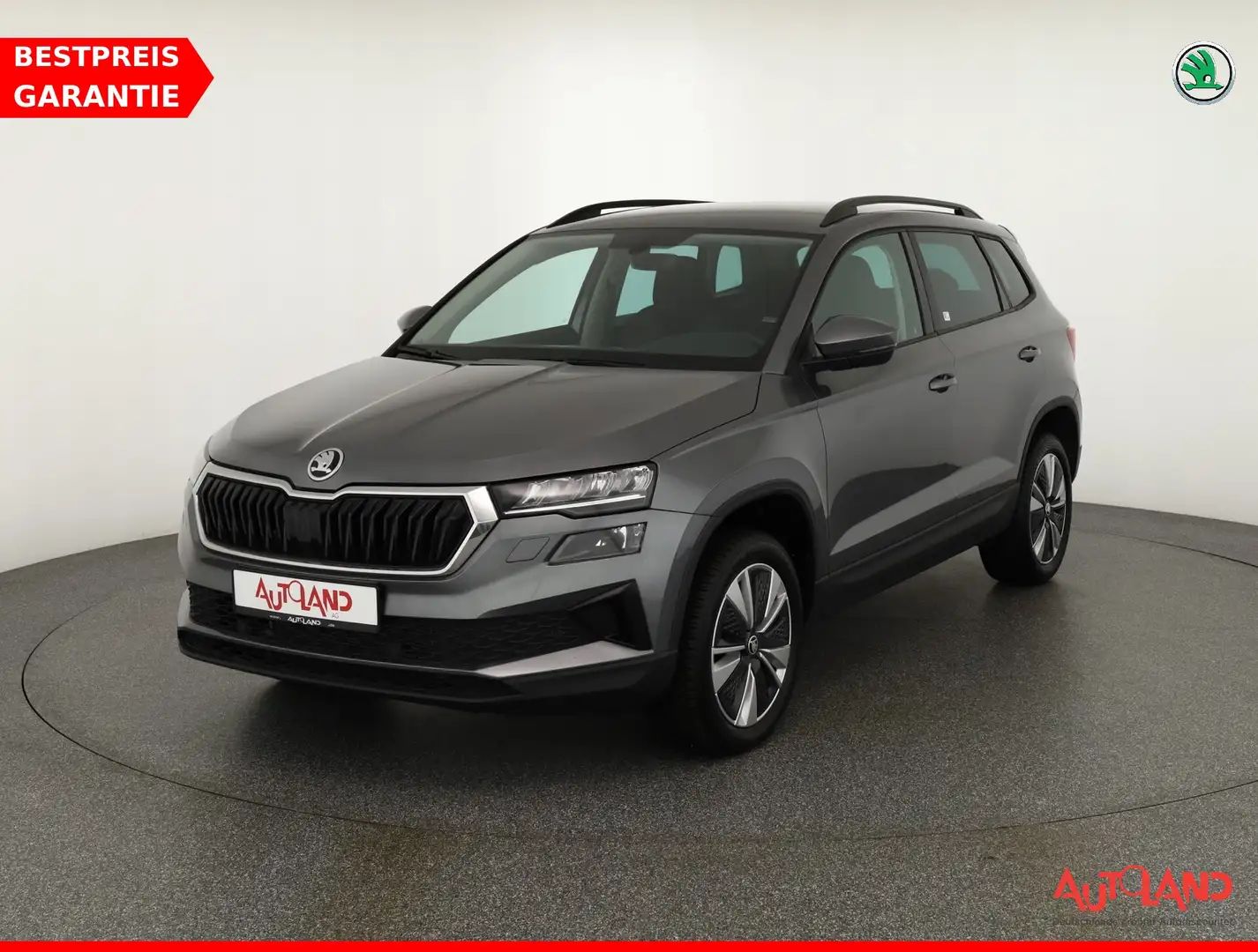 Skoda Karoq 1.5 TSI DSG LED Navi Kamera Tempomat Grau - 1
