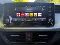 Skoda Scala 1.0 TSI Essence Kurzzulassung Blau - thumbnail 13