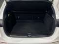 Mercedes-Benz B 200 d AMG Line - thumbnail 14