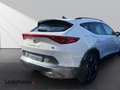CUPRA Formentor 2.0 4Drive*Navi*CarPlay*LED*360*Beats* Weiß - thumbnail 4