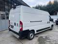 Fiat Ducato 2.3 MJT 160 CV ERO 6 D TEMP Weiß - thumbnail 12