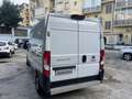 Fiat Ducato 2.3 MJT 160 CV ERO 6 D TEMP Weiß - thumbnail 20