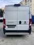 Fiat Ducato 2.3 MJT 160 CV ERO 6 D TEMP Weiß - thumbnail 16