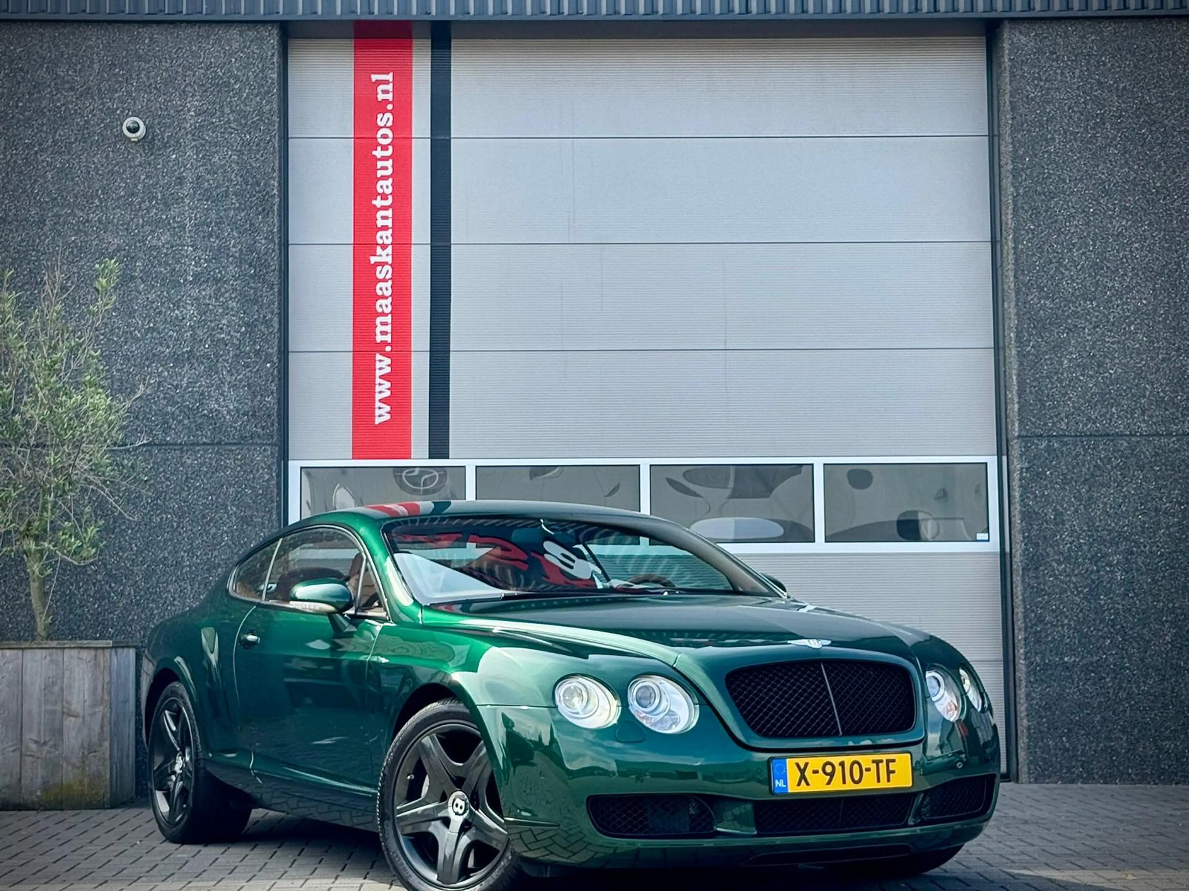 Bentley Continental GT 6.0 W12 / 560pk / Verdant Green / Cognac interior — photo 6