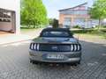 Ford Mustang GT Convertible Automatik, Magne Ride Fahrwerk Grau - thumbnail 4