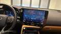 Lexus NX 350h 350h Executive 4WD MY25 - thumbnail 19