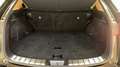 Lexus NX 350h 350h Executive 4WD MY25 - thumbnail 14