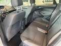 Ford Focus SW 1.6 tdci INDIVIDUAL  115cv Grigio - thumbnail 7