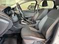 Ford Focus SW 1.6 tdci INDIVIDUAL  115cv Grigio - thumbnail 8
