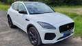 Jaguar E-Pace E-Pace P300e AWD R-Dynamic Black Weiß - thumbnail 6