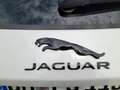 Jaguar E-Pace E-Pace P300e AWD R-Dynamic Black Weiß - thumbnail 15