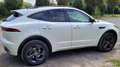 Jaguar E-Pace E-Pace P300e AWD R-Dynamic Black Weiß - thumbnail 5