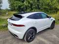 Jaguar E-Pace E-Pace P300e AWD R-Dynamic Black Weiß - thumbnail 14