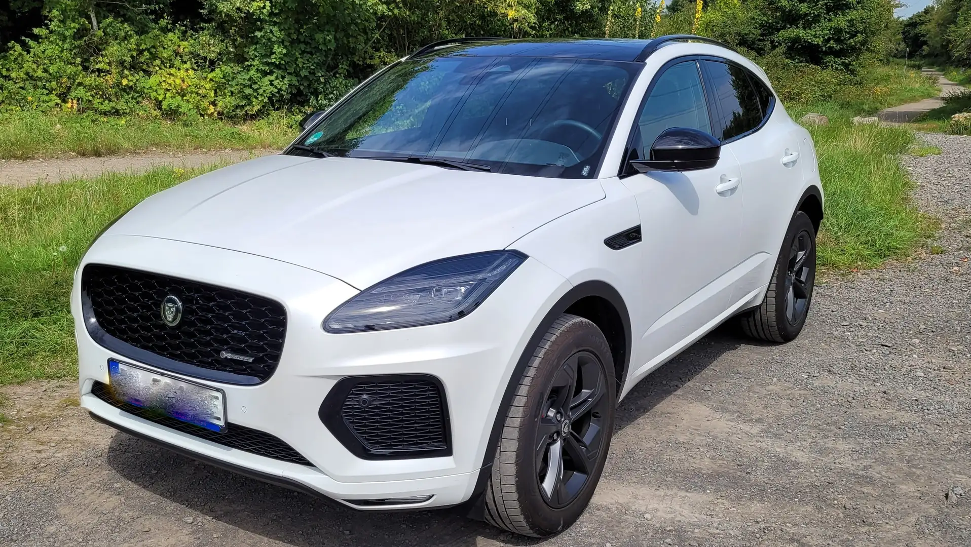 Jaguar E-Pace E-Pace P300e AWD R-Dynamic Black Weiß - 1