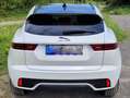 Jaguar E-Pace E-Pace P300e AWD R-Dynamic Black Weiß - thumbnail 16
