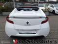 Renault Wind 1.2 TCE Exception Weiß - thumbnail 11