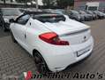 Renault Wind 1.2 TCE Exception Weiß - thumbnail 10
