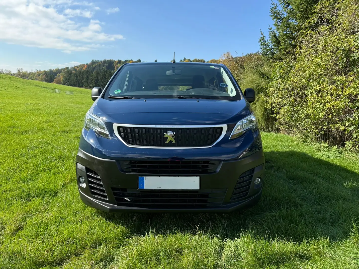 Peugeot Expert L1 1.6 BlueHDi 115 - 2
