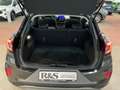 Ford Puma Titanium+Navi+AHK+Kamera+Allwetter+Sitzheizung Gris - thumbnail 6