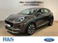 Ford Puma Titanium+Navi+AHK+Kamera+Allwetter+Sitzheizung Gris - thumbnail 1