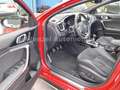 Kia ProCeed / pro_cee'd ProCeed *GT-Line*LED*PANO*KAMERA* Rouge - thumbnail 10