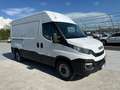 Iveco Daily Daily 35S12V 2.3 HPT PM-TM - FT016RP Blanc - thumbnail 8