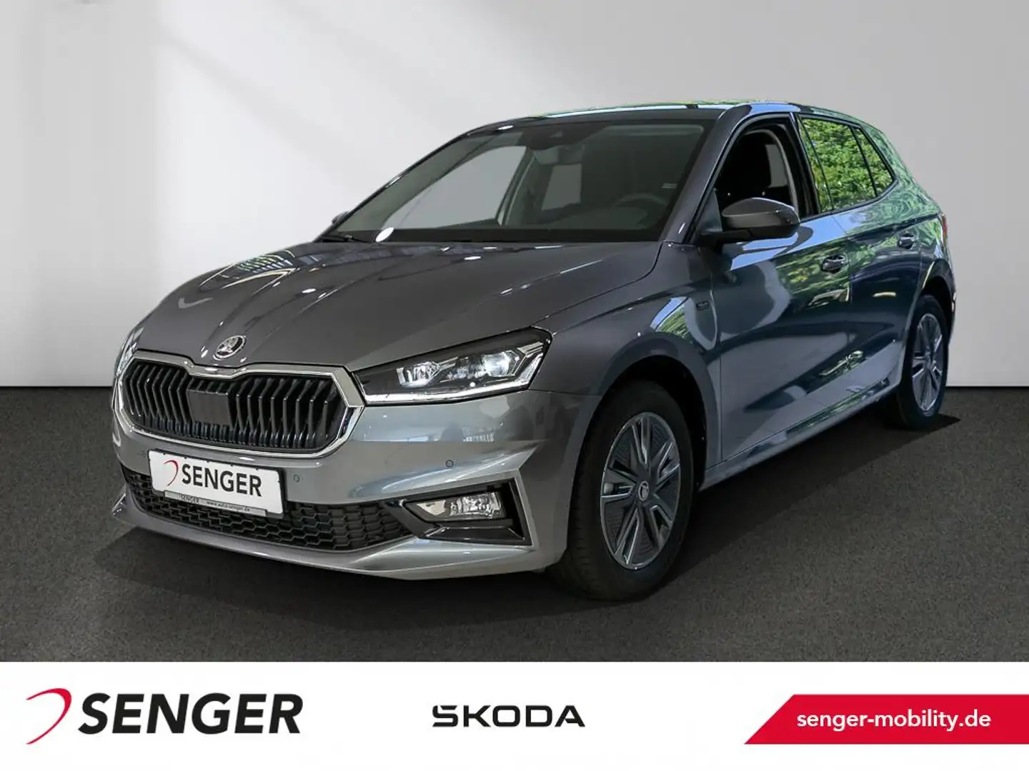 Skoda Fabia 1.0 TSI Tour Kamera LED Digitales Cockpit Gris - 1