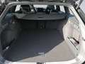 Volkswagen Passat Variant R-Line 2.0 TDI 4MO DSG MATRIX+PANO+AHK+ Schwarz - thumbnail 21