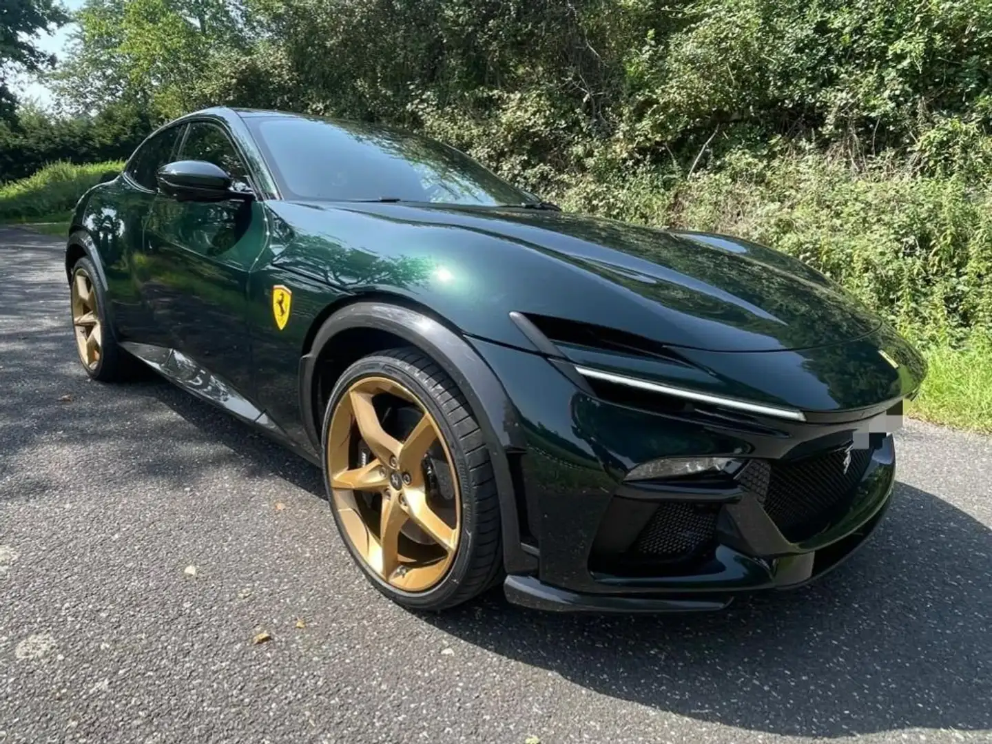 Ferrari Purosangue Atelier / MwSt. ausweisbar / Carbon / Sonderfarbe Зелёный - 1