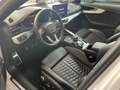 Audi RS4 *ONLY RENT*SOLO NOLEGGIO* Bianco - thumbnail 6