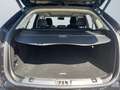 Ford Edge Vignale 2.0 EcoBlue Automatik 4x4 Matrix-LED Schwarz - thumbnail 14