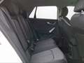 Audi Q2 ADVANCED 35 TFSI S-TRONIC MATRIX+SHZ+APP LED Blanc - thumbnail 12