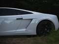 Lamborghini Gallardo Gallardo LP560-4 E-Gear Bicolore Blanco - thumbnail 5