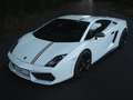 Lamborghini Gallardo Gallardo LP560-4 E-Gear Bicolore Blanco - thumbnail 11