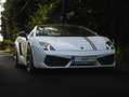 Lamborghini Gallardo Gallardo LP560-4 E-Gear Bicolore Blanco - thumbnail 6