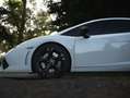 Lamborghini Gallardo Gallardo LP560-4 E-Gear Bicolore Blanco - thumbnail 4