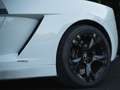 Lamborghini Gallardo Gallardo LP560-4 E-Gear Bicolore Blanco - thumbnail 14
