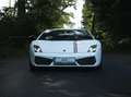 Lamborghini Gallardo Gallardo LP560-4 E-Gear Bicolore Blanco - thumbnail 2