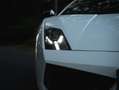 Lamborghini Gallardo Gallardo LP560-4 E-Gear Bicolore Blanco - thumbnail 16