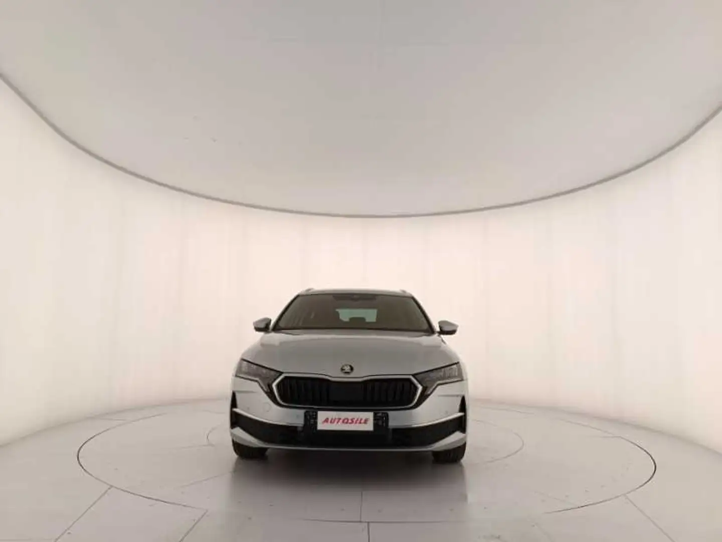 Skoda Octavia Wagon 2.0 TDI Executive Argento - 2